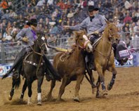 Horses At Their Best