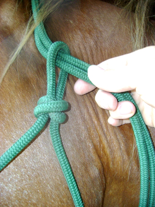 How To Tie A Rope Halter