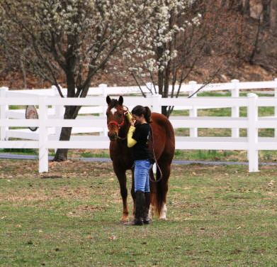 Healing With Horses