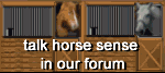 talk horse sense in our forum