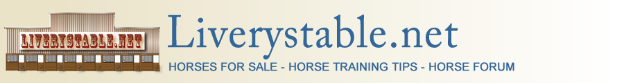 Liverystable.net, horses for sale, horse training tips, horse forum