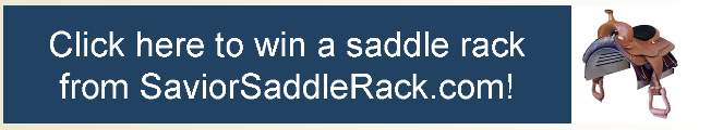 horses for sale, training your horse, horse forum